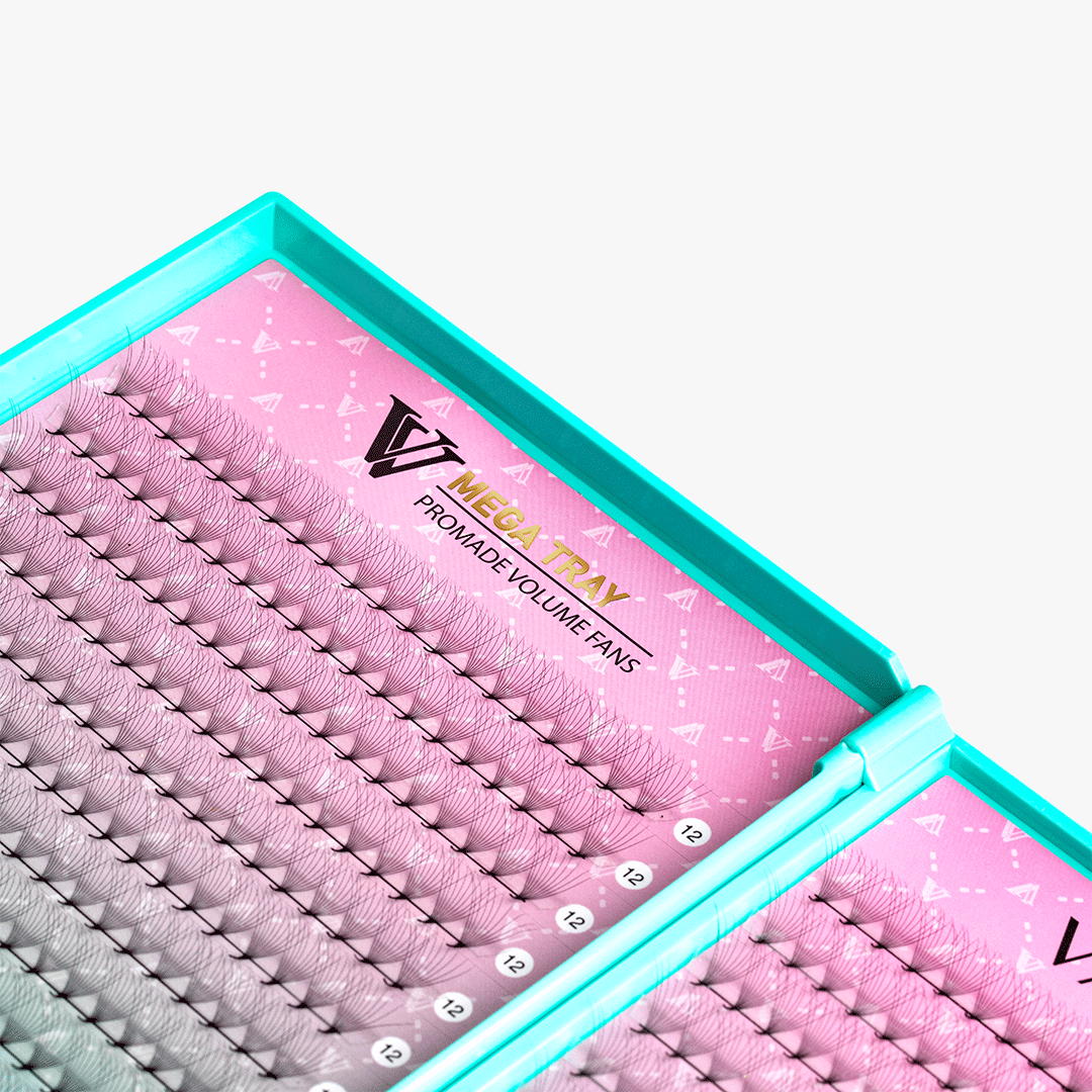 10D LASHBOOK  Promade Mega Volume Fans - 500 Fans SC