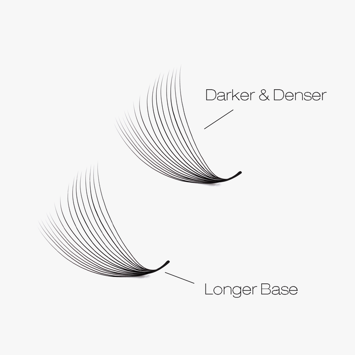 16D LASHBOOK Narrow Promade Volume Fans - 1000 Fans SC