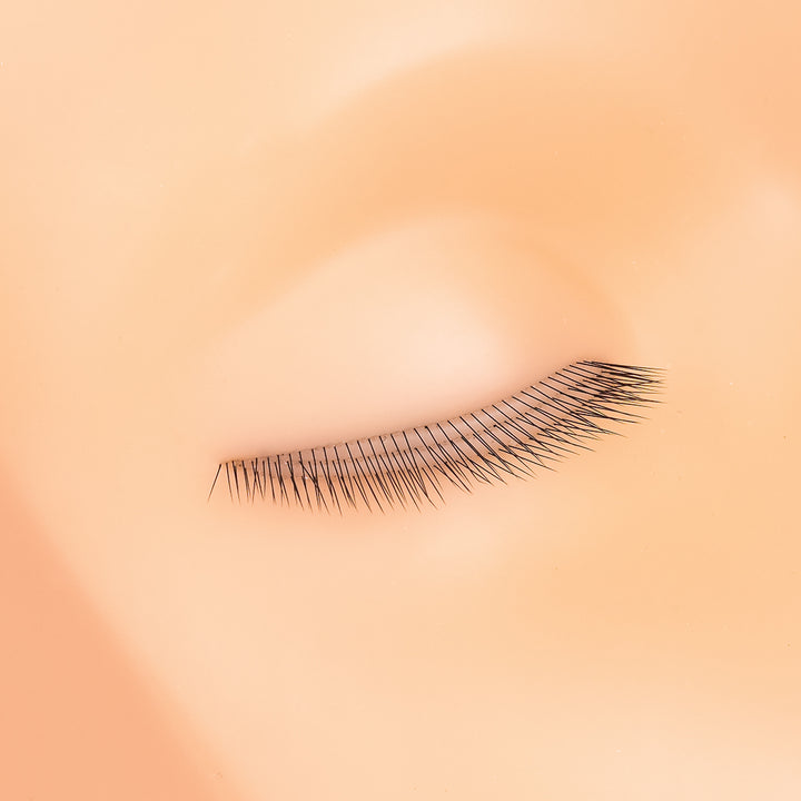Mannequin Head With Three Layer Lashes For Lash Extensions