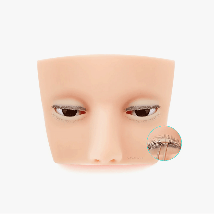 Simulation Eyelashes Practice Mannequin Head SC