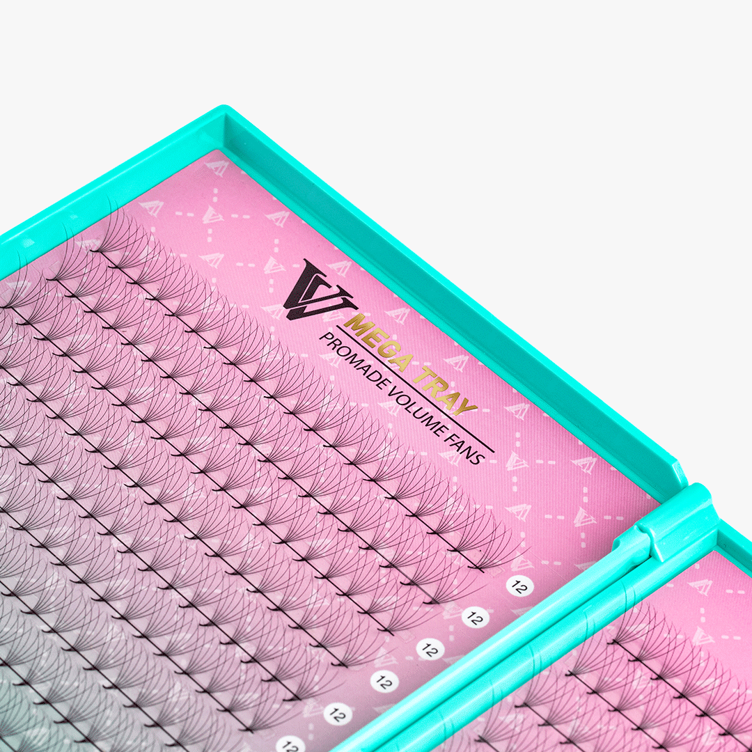 6D LASHBOOK  Promade Volume Fans - 500 Fans