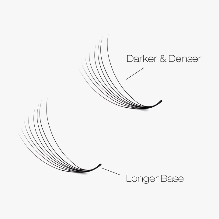 6D LASHBOOK Narrow Promade Volume Fans - 1000 Fans SC