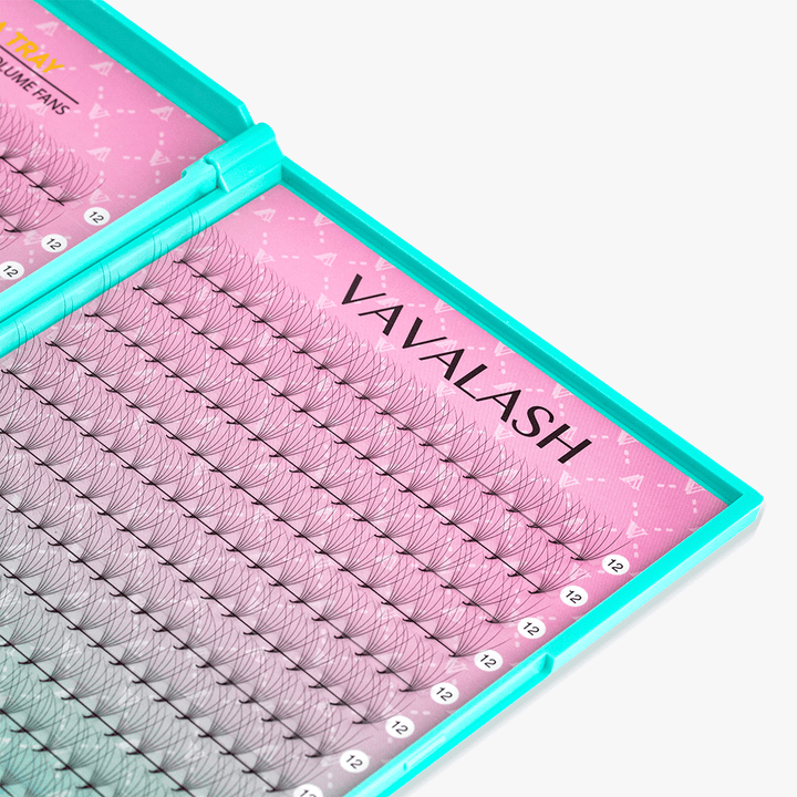 6D LASHBOOK  Promade Volume Fans - 500 Fans SC