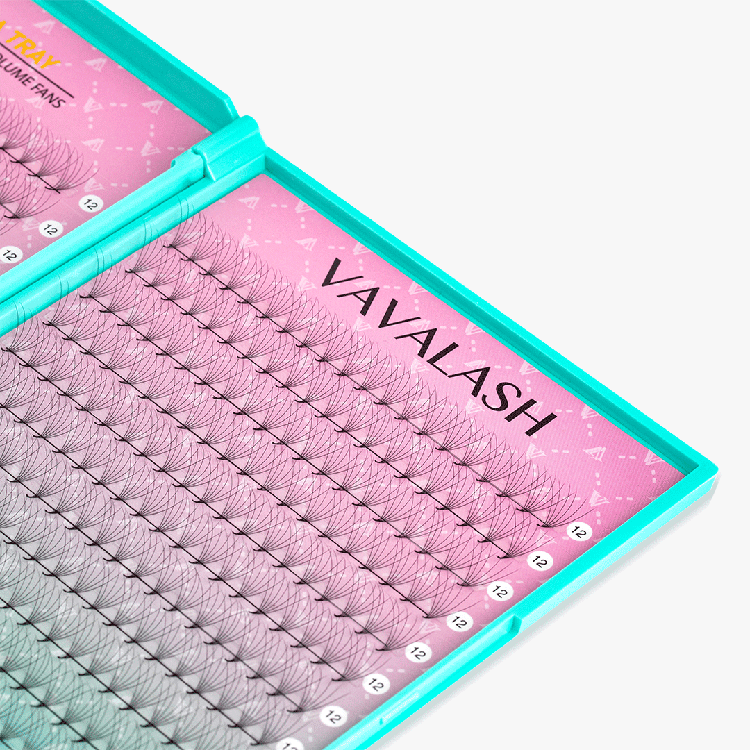 6D LASHBOOK  Promade Volume Fans - 500 Fans