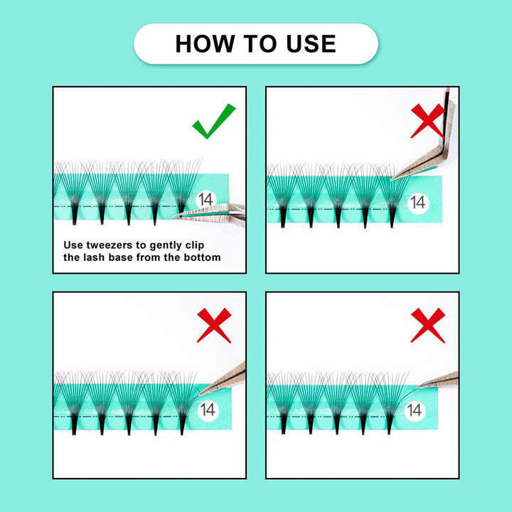 5D Large Tray Pointy Base Premade Volume Fans 320 Fans 16 Lines