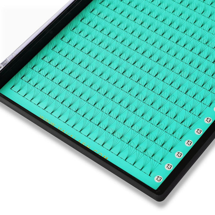 6D Short Stem Large Tray Premade Mega Volume Fans 320 Fans 16 Lines